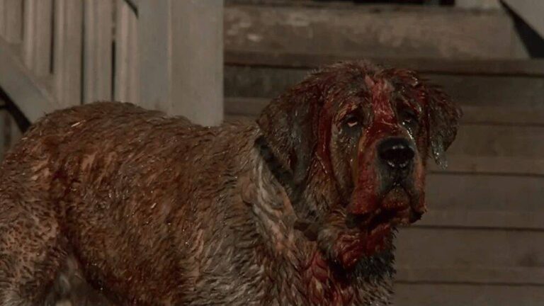 Stephen King Cujo Netflix Movie Announced