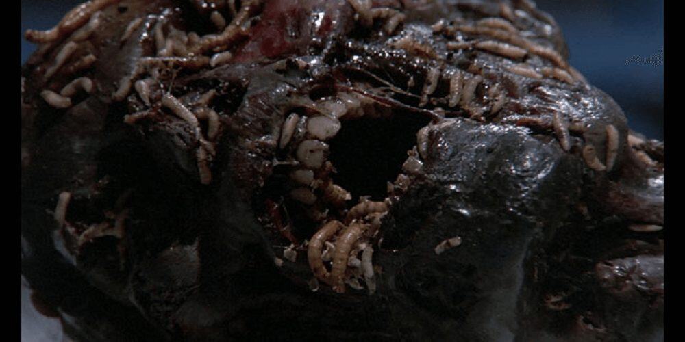 horror movies about insects