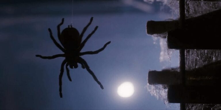 insect horror movies